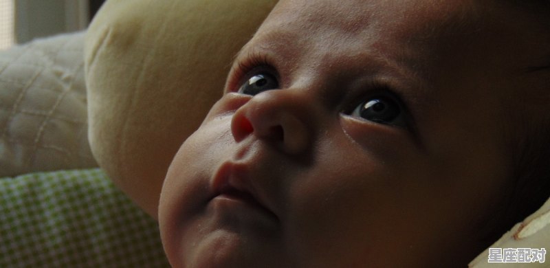 疙瘩子亲是什么意思,接疙瘩习俗手工 疙瘩子亲是什么意思,接疙瘩习俗手工 - 星座运势