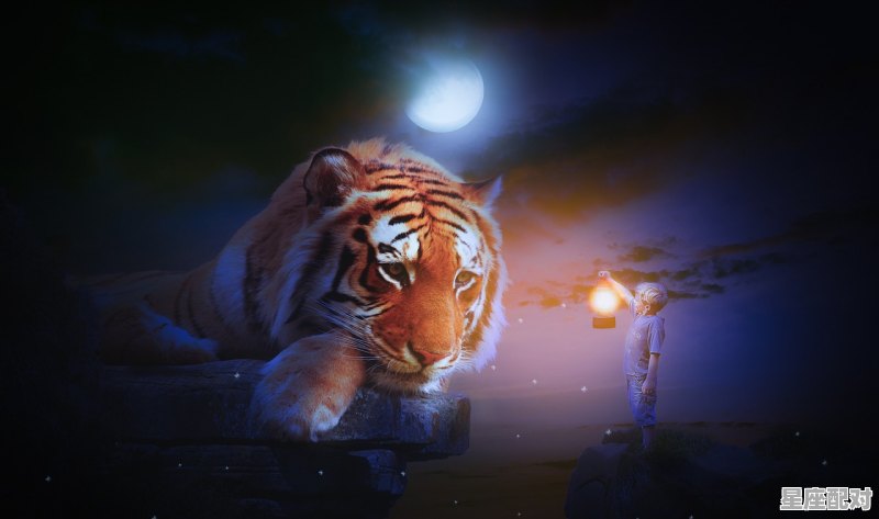 虎代表什么数字,二五反复是什么生肖 虎代表什么数字,二五反复是什么生肖 - 星座运势