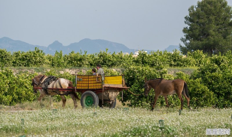 乡俗和风俗区别是什么，城乡习俗 - 星座运势
