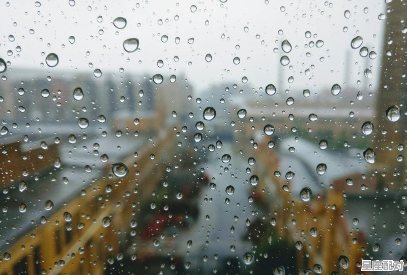 下雨最长的城市,雅安雨什么星座 下雨最长的城市,雅安雨什么星座 - 星座运势