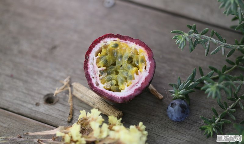 什么动物爱吃荔枝,无花果跟什么生肖有关 什么动物爱吃荔枝,无花果跟什么生肖有关 - 星座运势