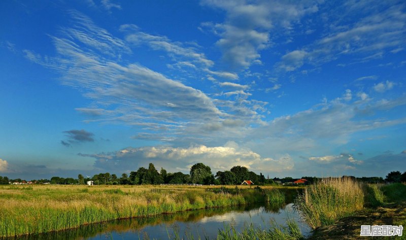 星座运势2021年每月运势,12星座今日运势数字 星座运势2021年每月运势,12星座今日运势数字 - 星座运势
