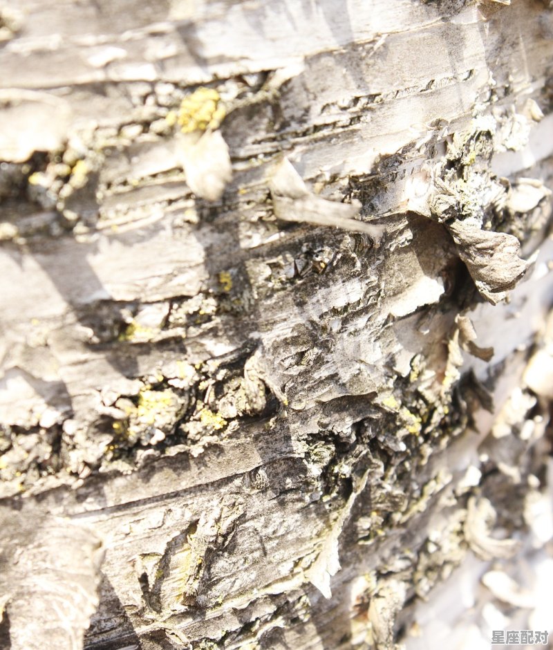 救火预示什么,梦到用水灭火 救火预示什么,梦到用水灭火 - 星座运势