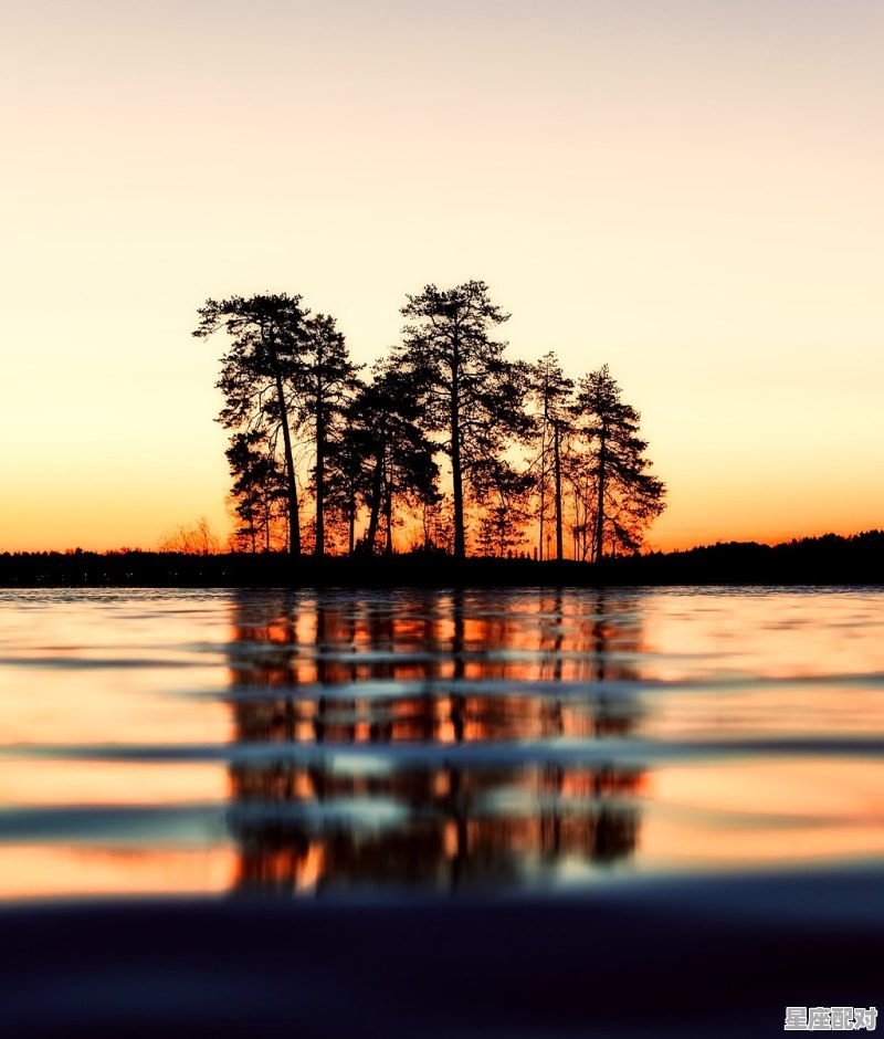 日出而作的生肖,要钱看日出是什么生肖 日出而作的生肖,要钱看日出是什么生肖 - 星座运势