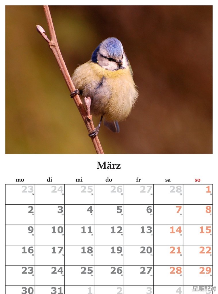 3 月是什么星座_2003年3月底是什么星座 - 星座运势