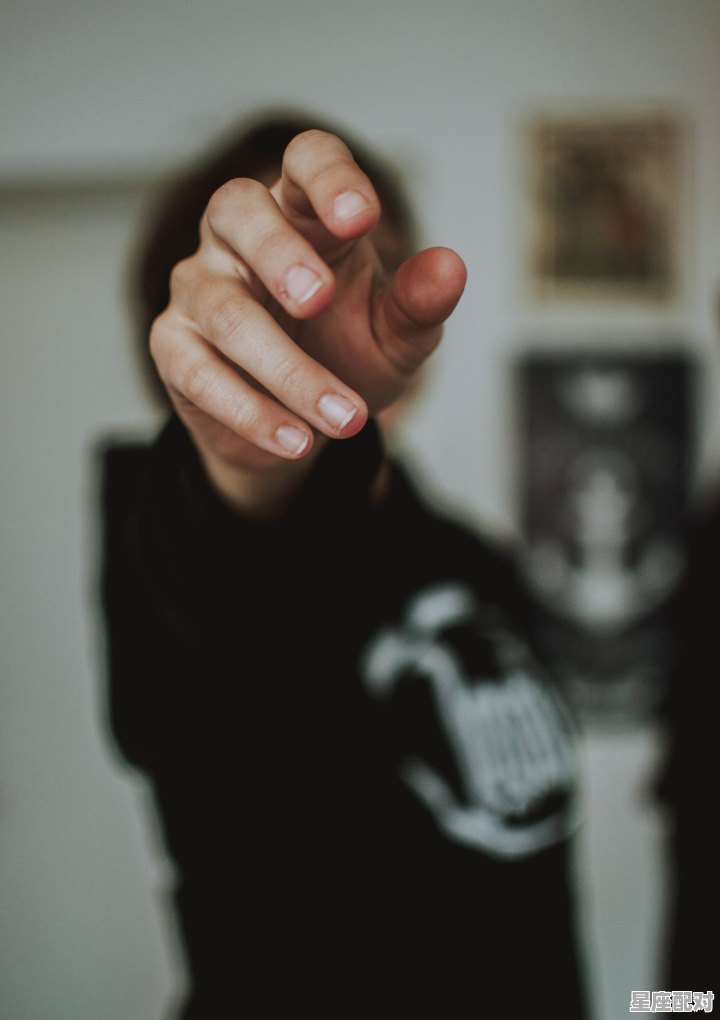 为什么巨蟹总是喜欢天秤,什么星座喜欢 - 星座运势