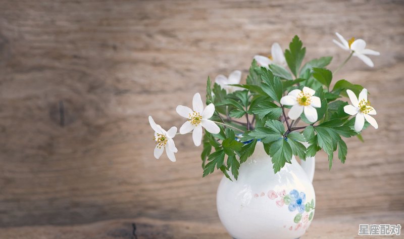 端得的意思,红梅睛雪是指什么生肖 - 星座运势