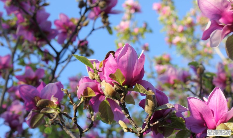 摩羯男压抑对你的喜欢的表现,魔蝎座性格压抑 - 星座运势