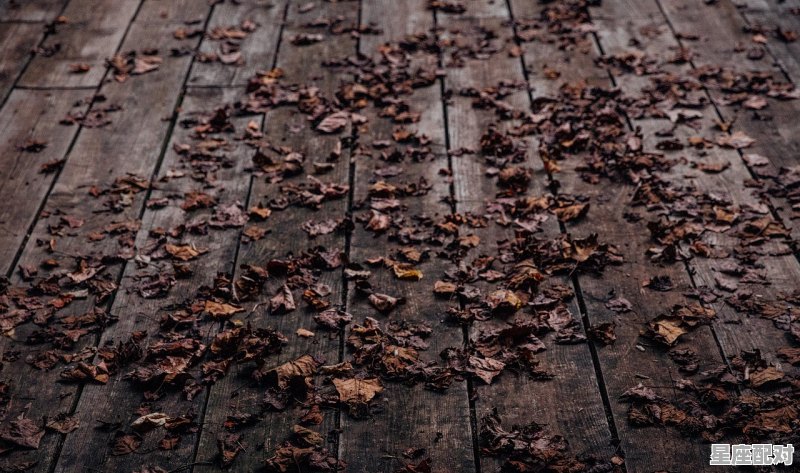 12星座当中都有什么星座，12是什么星座的 - 星座运势