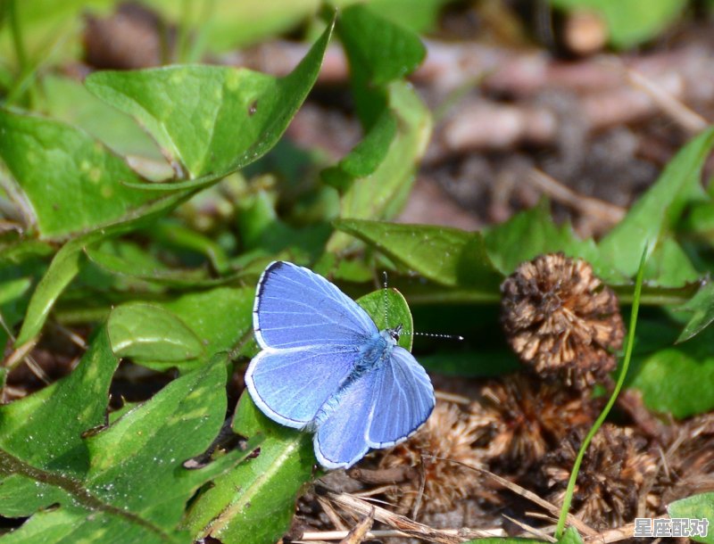 人家说你亲人坐牢你怎么回答,梦到家人坐牢 人家说你亲人坐牢你怎么回答,梦到家人坐牢 - 星座运势