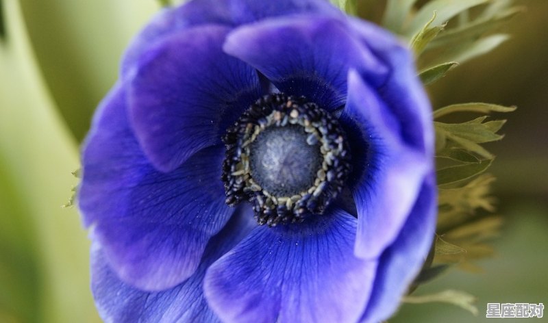 怀孕8个月见红是什么原因_怀孕八个多月见红怎么办 - 星座运势