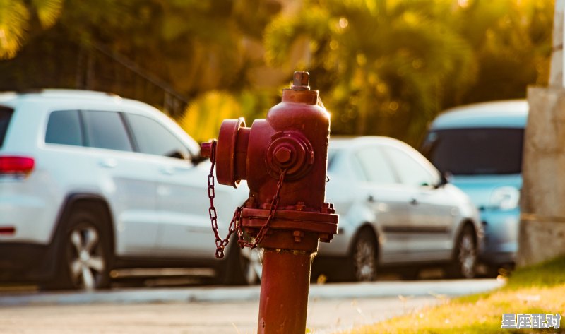 电动车起火的常见原因，梦到电动车着火 - 星座运势