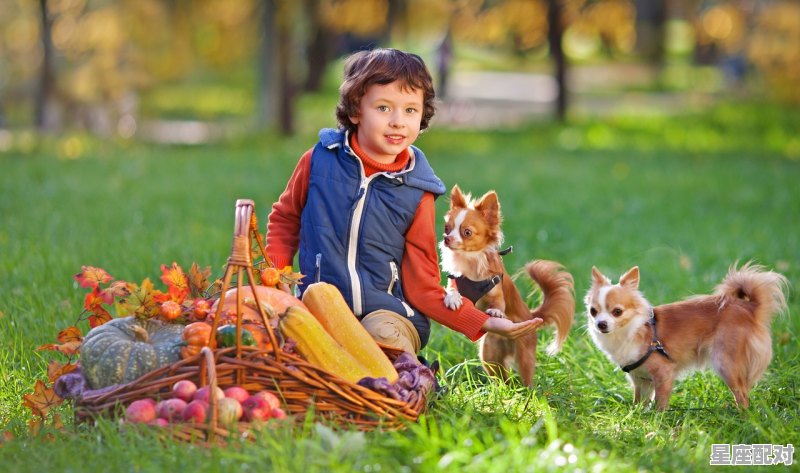 酒过三巡好谈事是什么动物,诚实招来是指什么生肖 - 星座运势