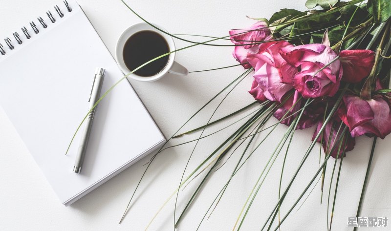 秦的组词，秦女楚珠是什么生肖 - 星座运势