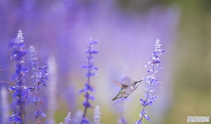 天蝎男一生最爱的两个星座_天蝎女会嫁什么样的男生 天蝎男一生最爱的两个星座_天蝎女会嫁什么样的男生 - 星座运势