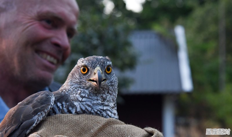最长的脚一步登天是指什么生肖_舞春的动物 - 星座运势