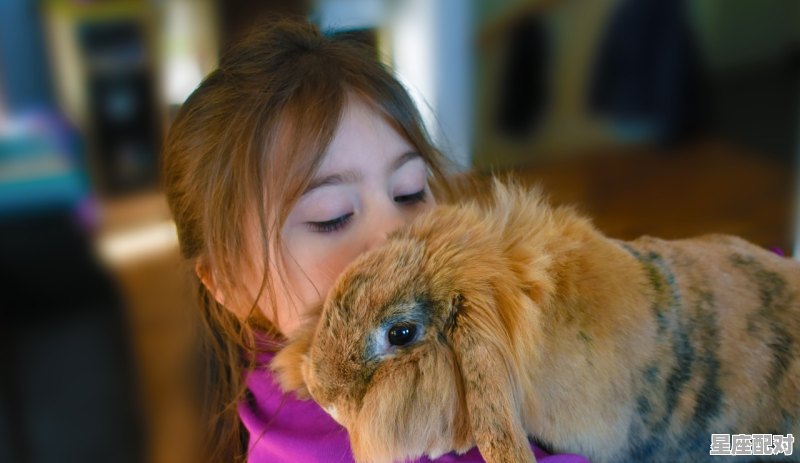 属虎的处女座女生性格，処女座女孩性格 - 星座运势