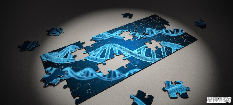 2021年前哪一年是马年,马人今日运势方位 - 星座运势