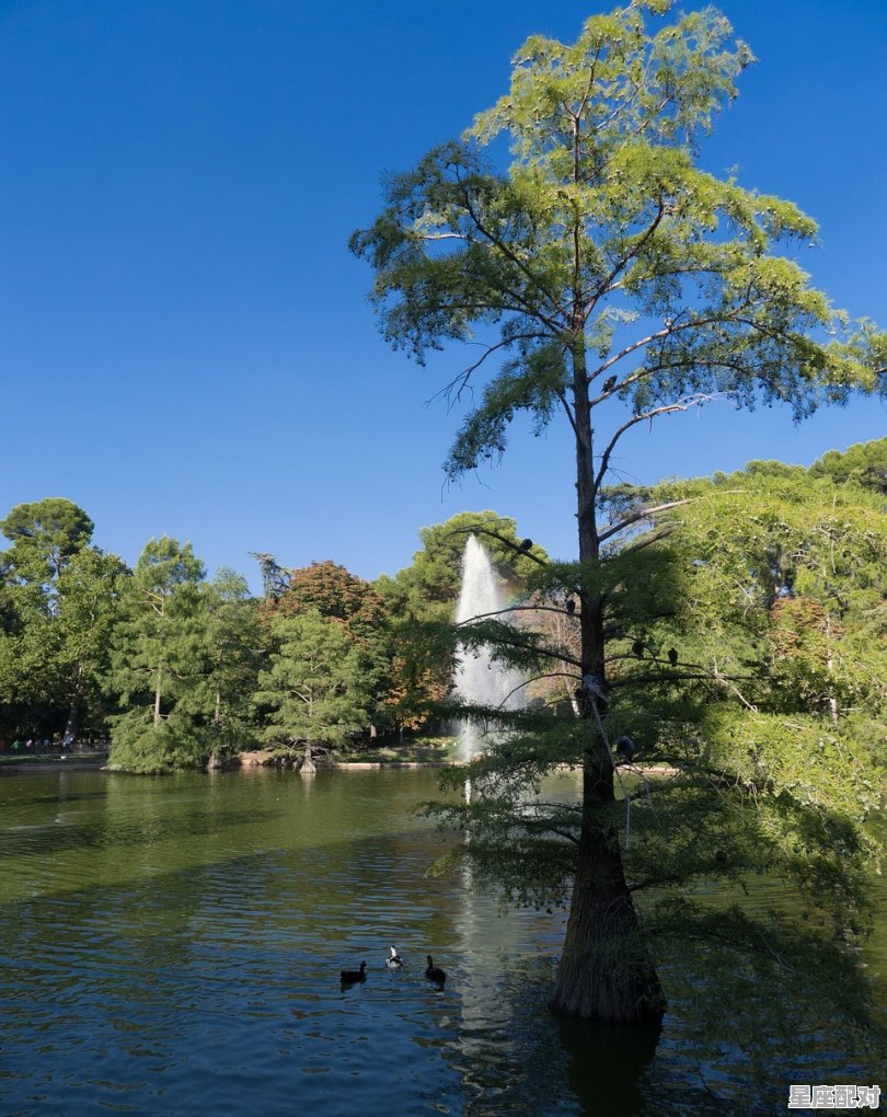 归山深浅去，须尽丘壑美什么动物,桃花源旦是什么生肖 - 星座运势