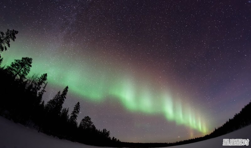 2021年11月的孩子什么星座，是11月星座是什么星座 - 星座运势