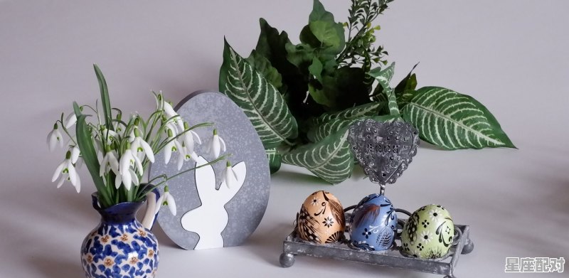 四季如歌形容什么,春华秋实说的什么生肖 - 星座运势