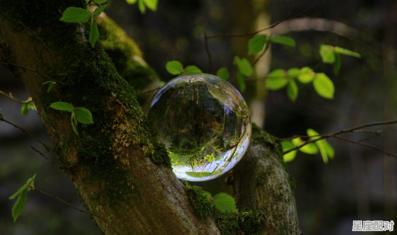 下雪天在家心情说说_梦到家里下雪 - 星座运势