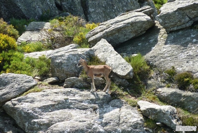 梦到天上掉,梦到天上掉 - 星座运势