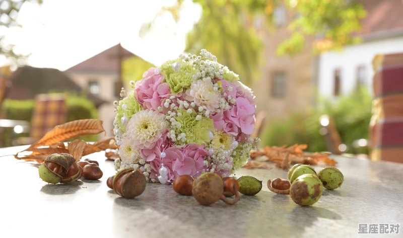 世界上最大的星座蛋糕,是什么星座蛋糕 世界上最大的星座蛋糕,是什么星座蛋糕 - 星座运势