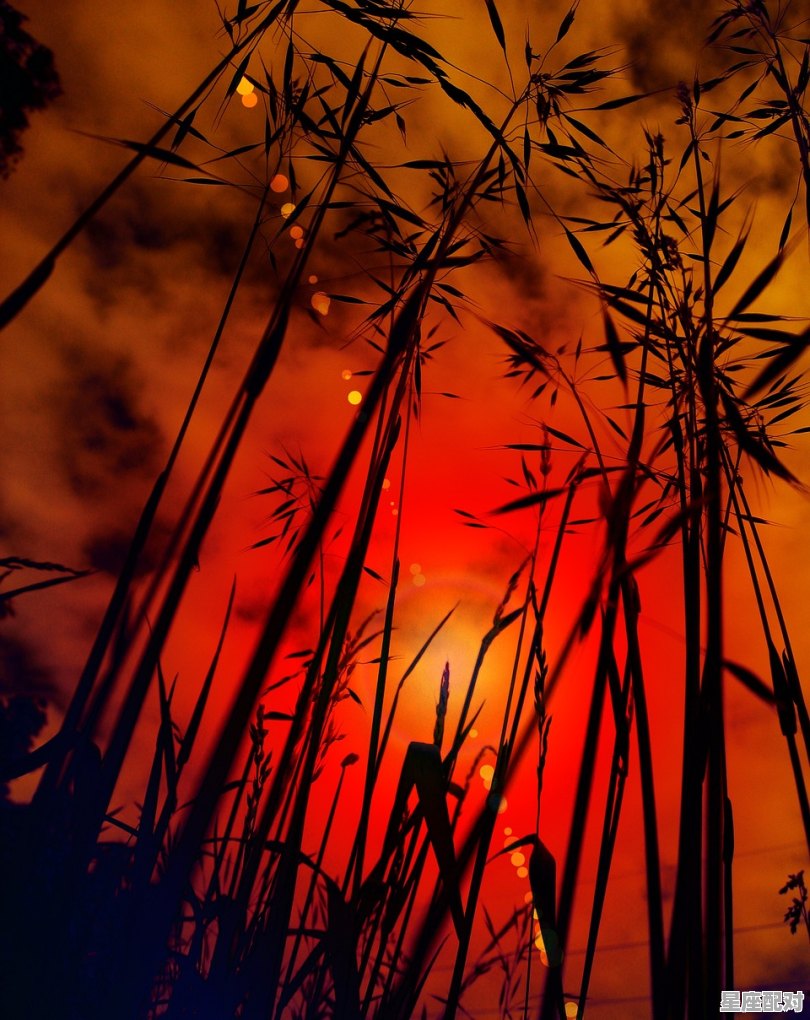 哪部同志电影是剧情故事棒,结局又是美好的呢,梦到地火 哪部同志电影是剧情故事棒,结局又是美好的呢,梦到地火 - 星座运势