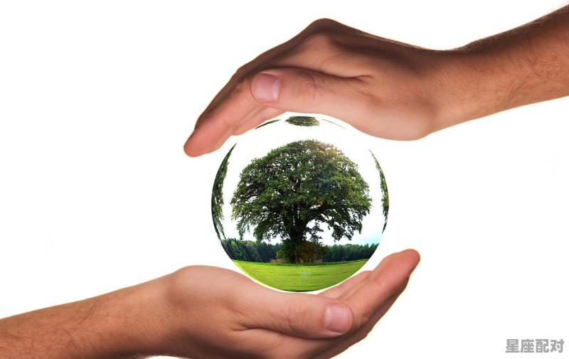 冬至各个地区习俗不同的原因,为什么中国各地有很多习俗 冬至各个地区习俗不同的原因,为什么中国各地有很多习俗 - 星座运势