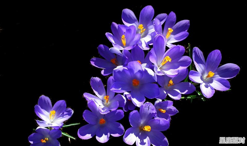 水瓶座女孩性格总结_水瓶座女孩儿的性格 - 星座运势