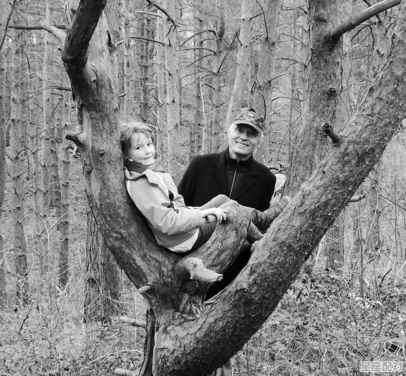 梦到自己打老虎,梦到自己打老虎 - 星座运势