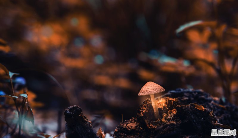 天蝎座有什么性格和天赋_天蝎座的性格，优点和缺点 - 星座运势