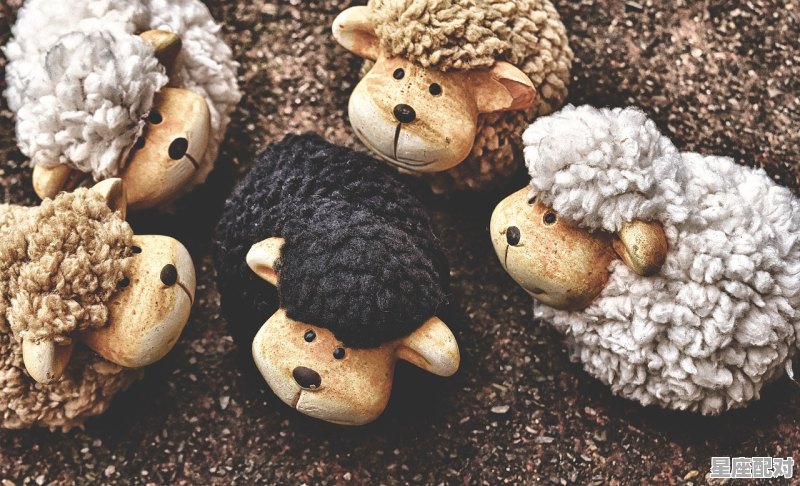 三门数是什么数，十二生肖五门是什么 - 星座运势