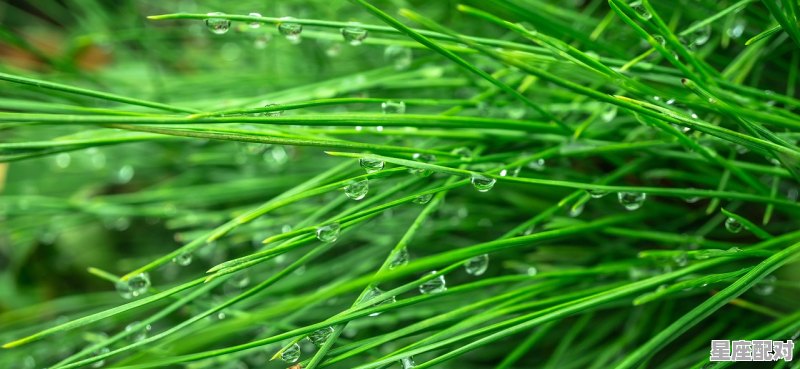 看见蛇交怎么办,蛇属相今日运势女 看见蛇交怎么办,蛇属相今日运势女 - 星座运势