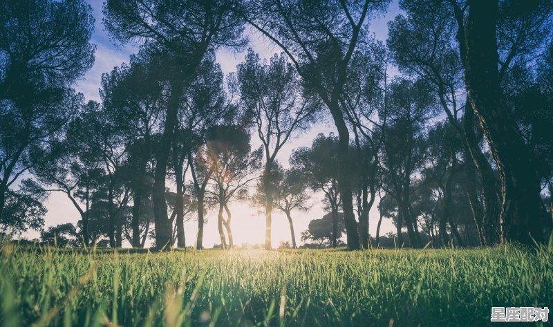 为什么有时候同一个节日南北方的习俗传统差别却很大，南北方的地理习俗差异 - 星座运势