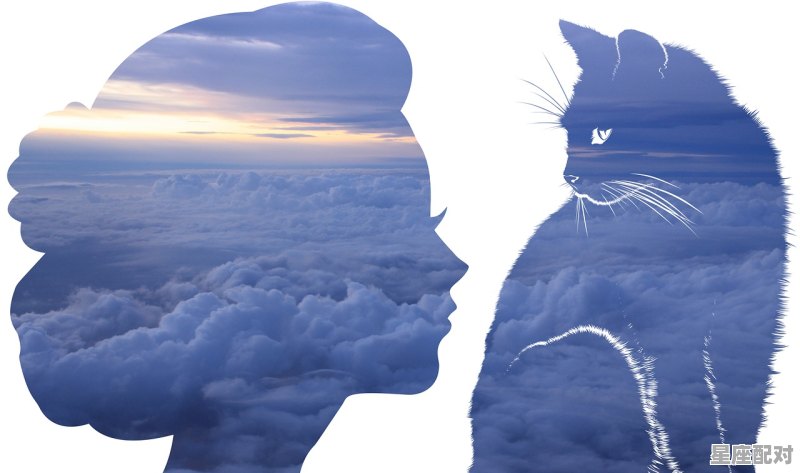 夫唱妇随凤凰和鸣是比喻什么动物_冬天天刚刚亮是什么时辰 - 星座运势