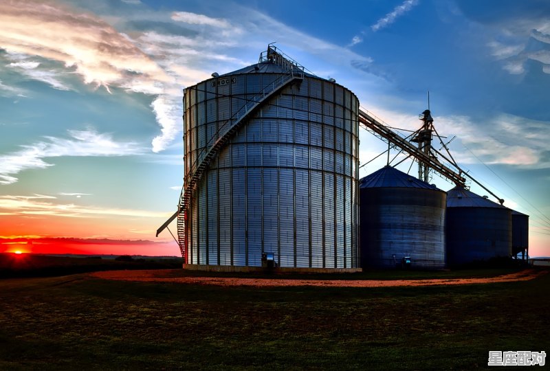 小布什星座，沃克什么星座 - 星座运势