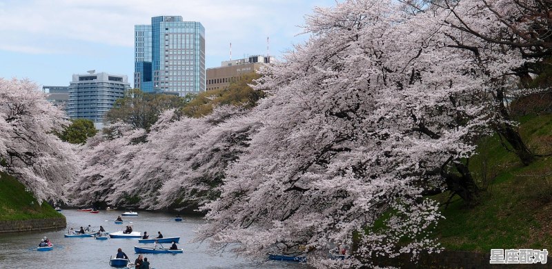洛阳市区跨洛河有几座桥?名字_洛阳城和龙门石窟之间什么河 洛阳市区跨洛河有几座桥?名字_洛阳城和龙门石窟之间什么河 - 星座运势