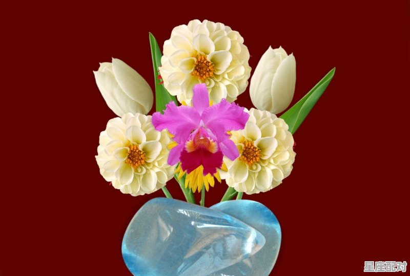 《心田上的百合花》的全文是什么_媳妇生了孩子送什么花 - 星座运势