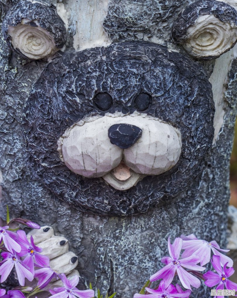 五角星头植物,胎梦梦到狮子 - 星座运势