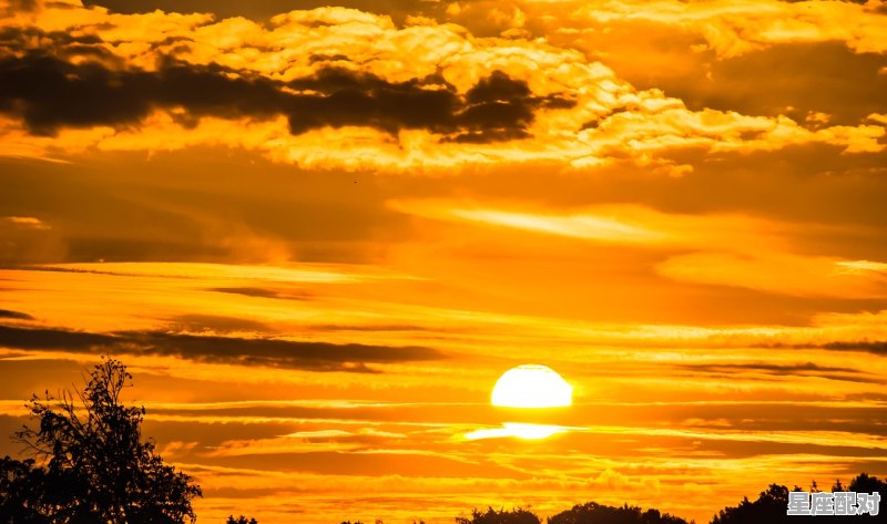 阳光代表什么动物，东边日出西边雨是什么生肖 - 星座运势