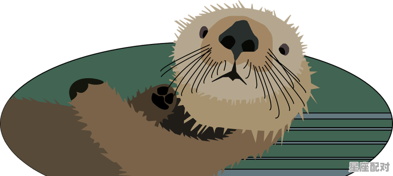 背水一战指什么动物，背水一战形容什么生肖 - 星座运势