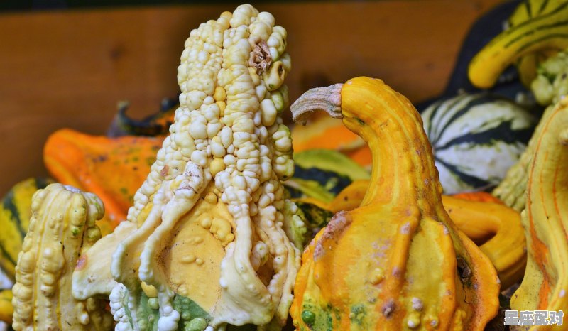 清明节哪里吃馓子，过年馓子的习俗是在哪里 - 星座运势