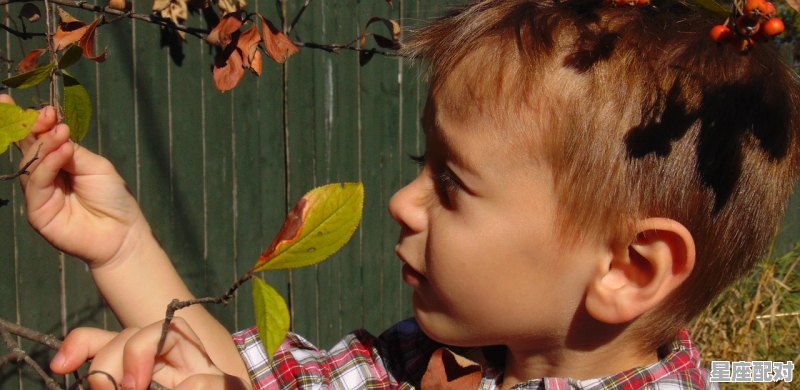 娃娃宴一般什么时间办，枣庄孩子满月回姥姥家的习俗 - 星座运势