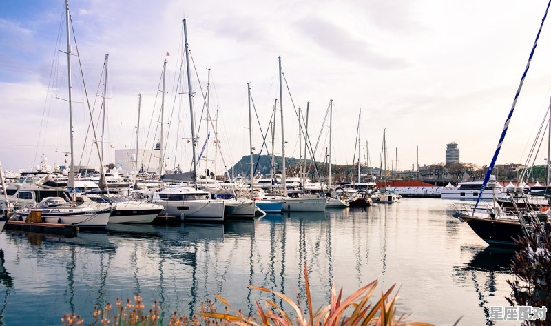 大雁什么时候送,习俗送雁 大雁什么时候送,习俗送雁 - 星座运势