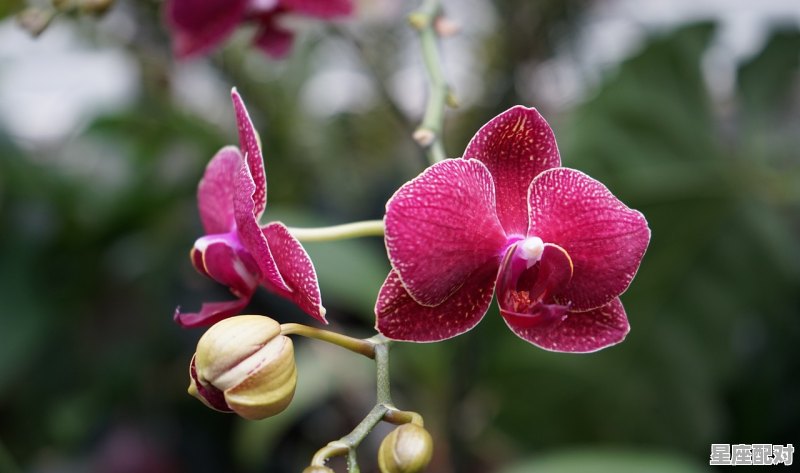 为什么天蝎和双鱼很配，天蝎座的星座配对是什么意思 - 星座运势