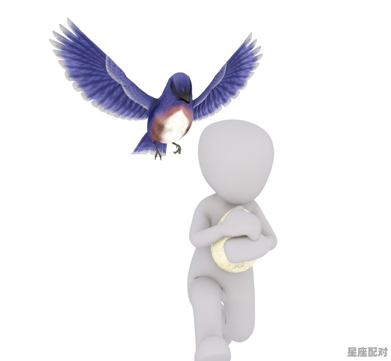 一个男人用蝴蝶当微信头像他的性格可能是怎样的,蝴蝶座男人的性格 一个男人用蝴蝶当微信头像他的性格可能是怎样的,蝴蝶座男人的性格 - 星座运势