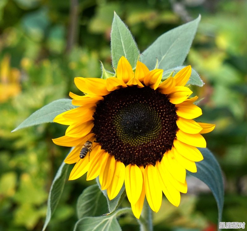 什么星座适合天蝎座男_天蝎跟什么星座最配 什么星座适合天蝎座男_天蝎跟什么星座最配 - 星座运势