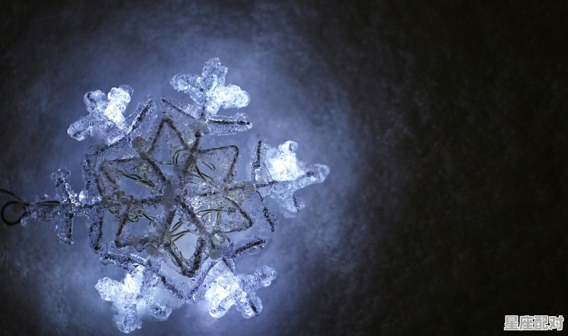 蛇属于什么星座_65年,12月的是什么星座 蛇属于什么星座_65年,12月的是什么星座 - 星座运势